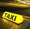 Такси в Панино
